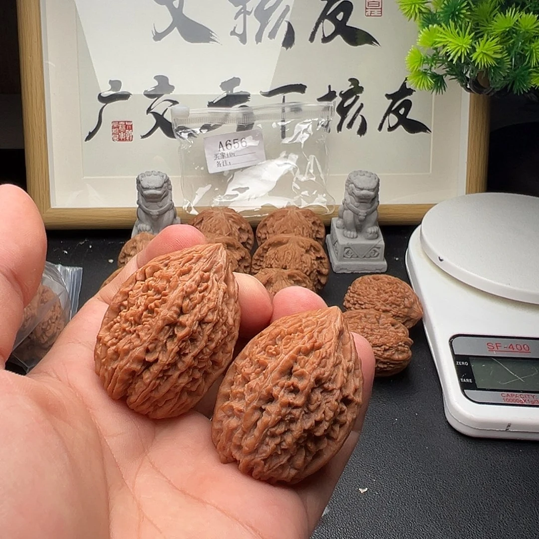 A656蒜头36尺全品