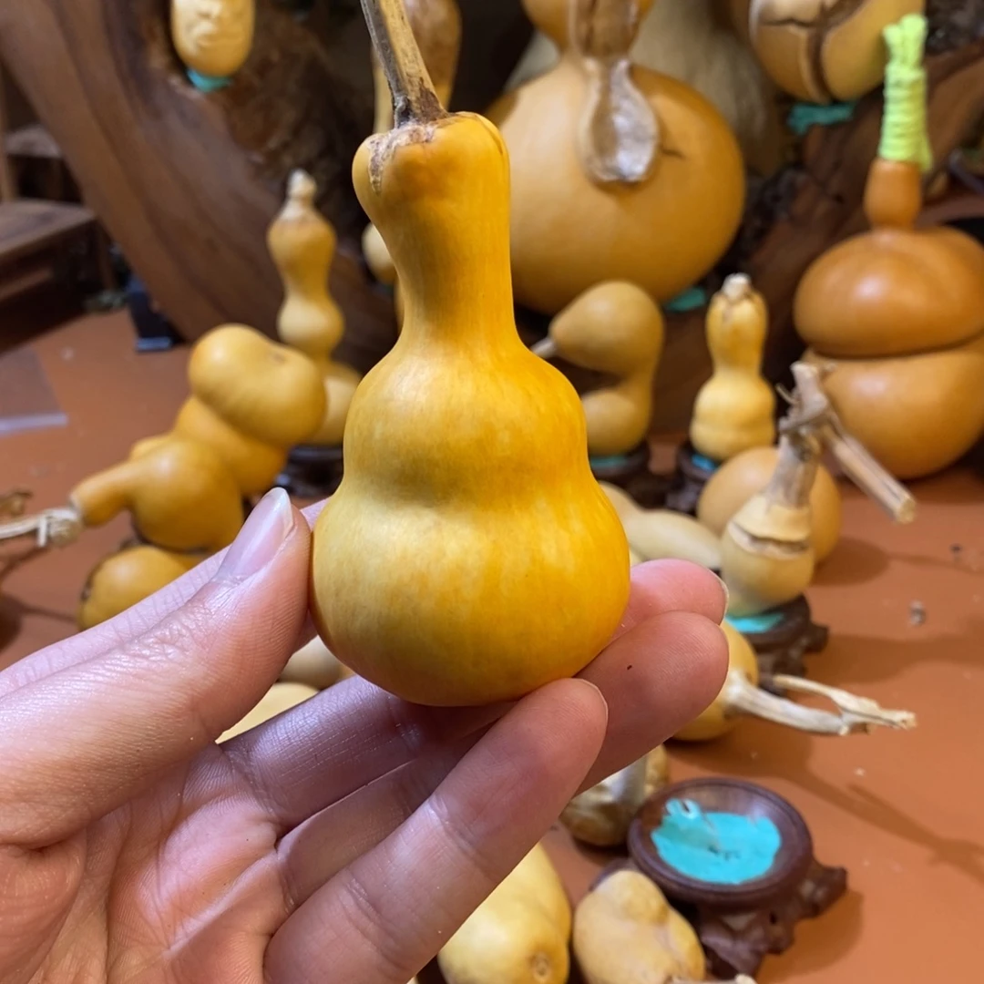 美***了教练咯教练教练经理