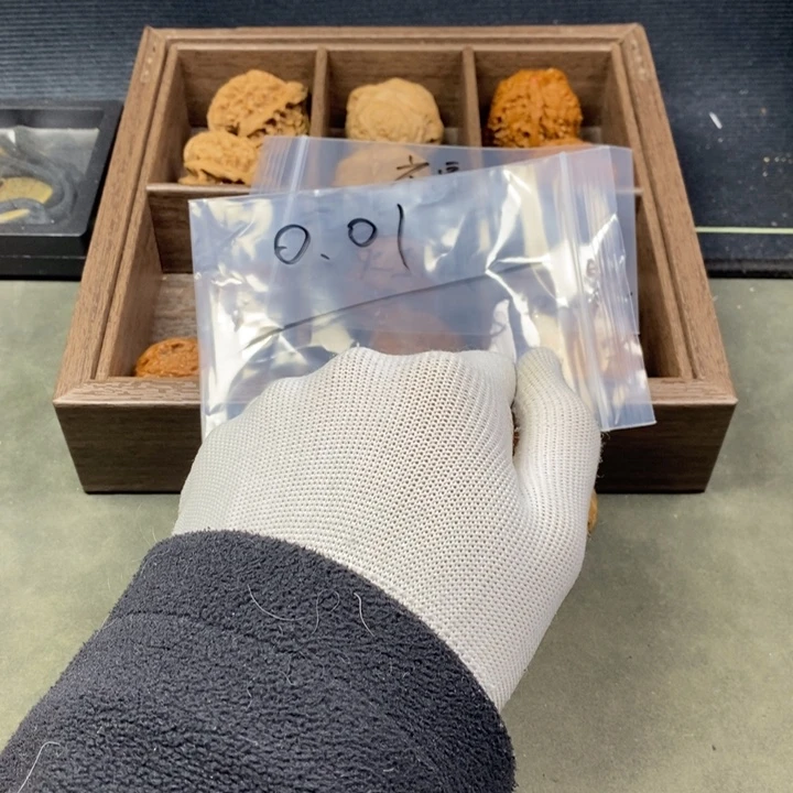 核桃等经济林果地的