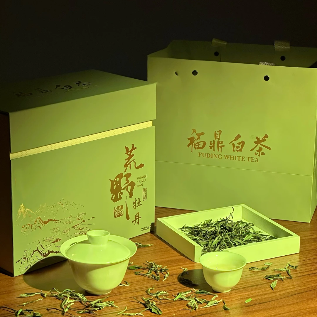 福鼎管阳高山2024荒野白牡丹礼盒装