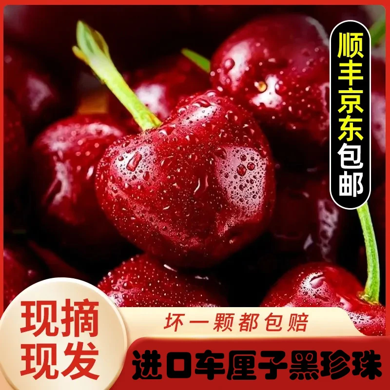 【顺丰】空运巨无霸进口车厘子现采现摘J-4J&1-5斤装车厘子孕妇