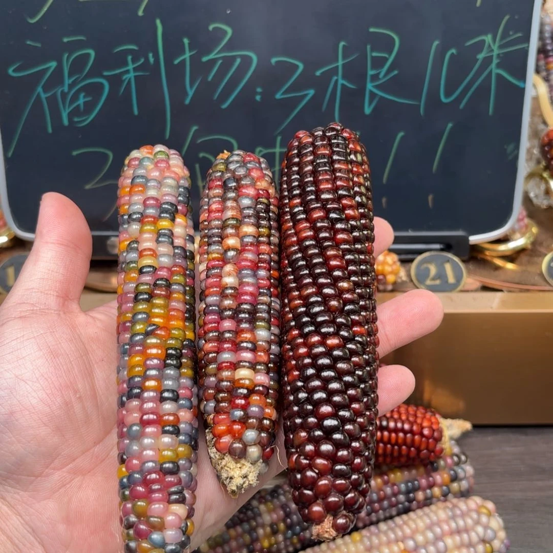 柏香籽/百香籽吊坠遗*