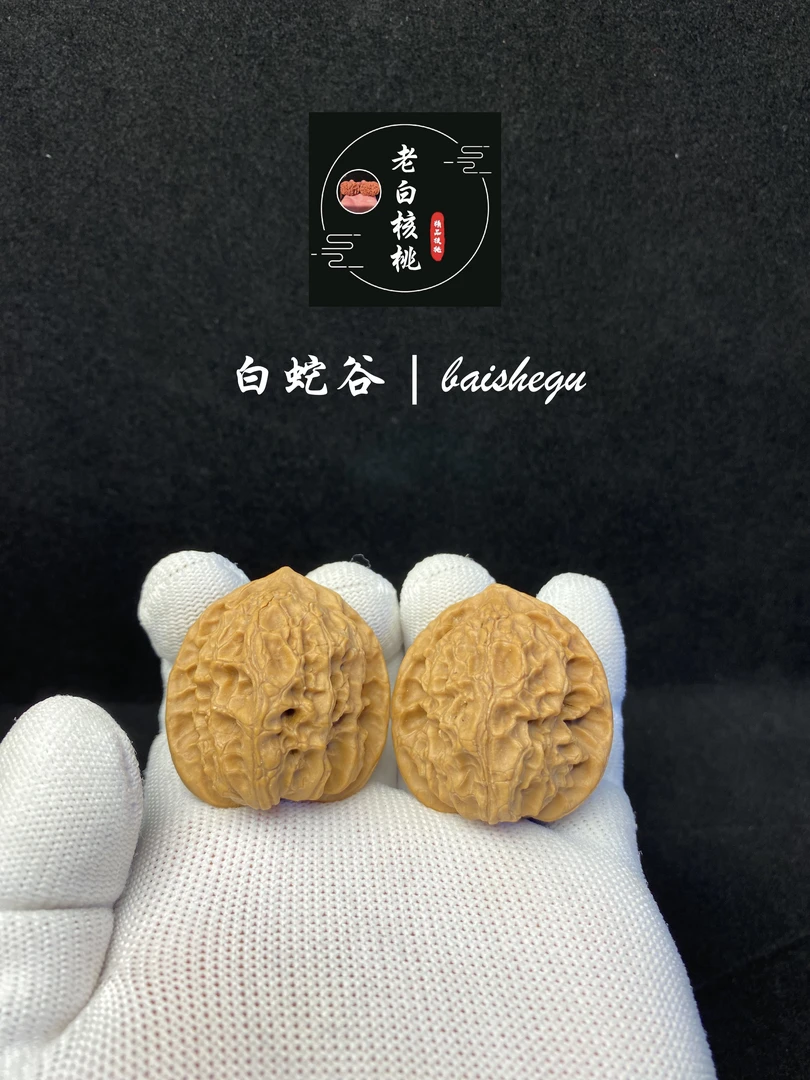 涞水老白核桃：白蛇谷，涞水直发文玩核桃产地特色盘玩手把件
