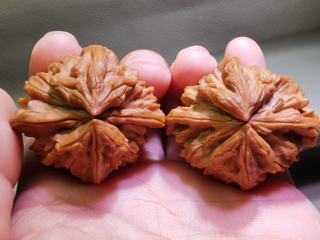 文玩核桃蛇头双蛇头双龙头鬼斧神工土豪级手把件盘它纯天然麻核桃