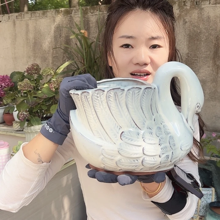 异形大白鹅花盆一个