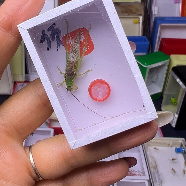 王***儿哈哈哈哈哈哈哈哈哈哈哈哈哈哈哈哈