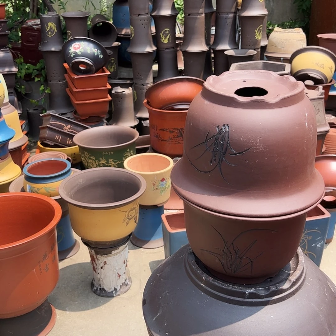 21-21平角金钟花盆花盆花盆