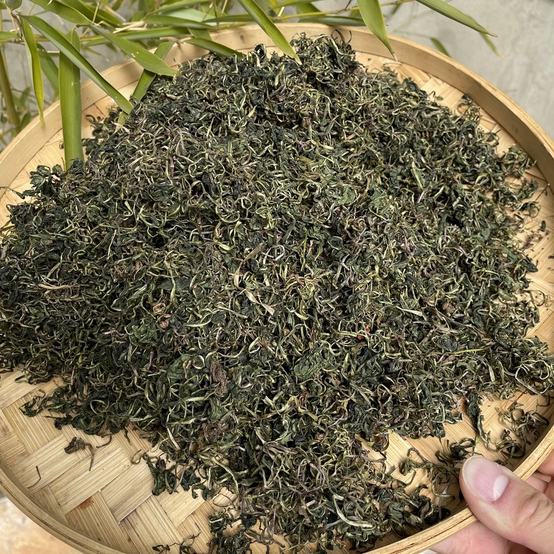 云南高山蒲公英叶净重250克500克