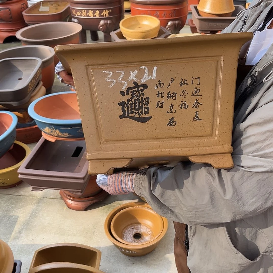 紫砂花盆盆景艺术