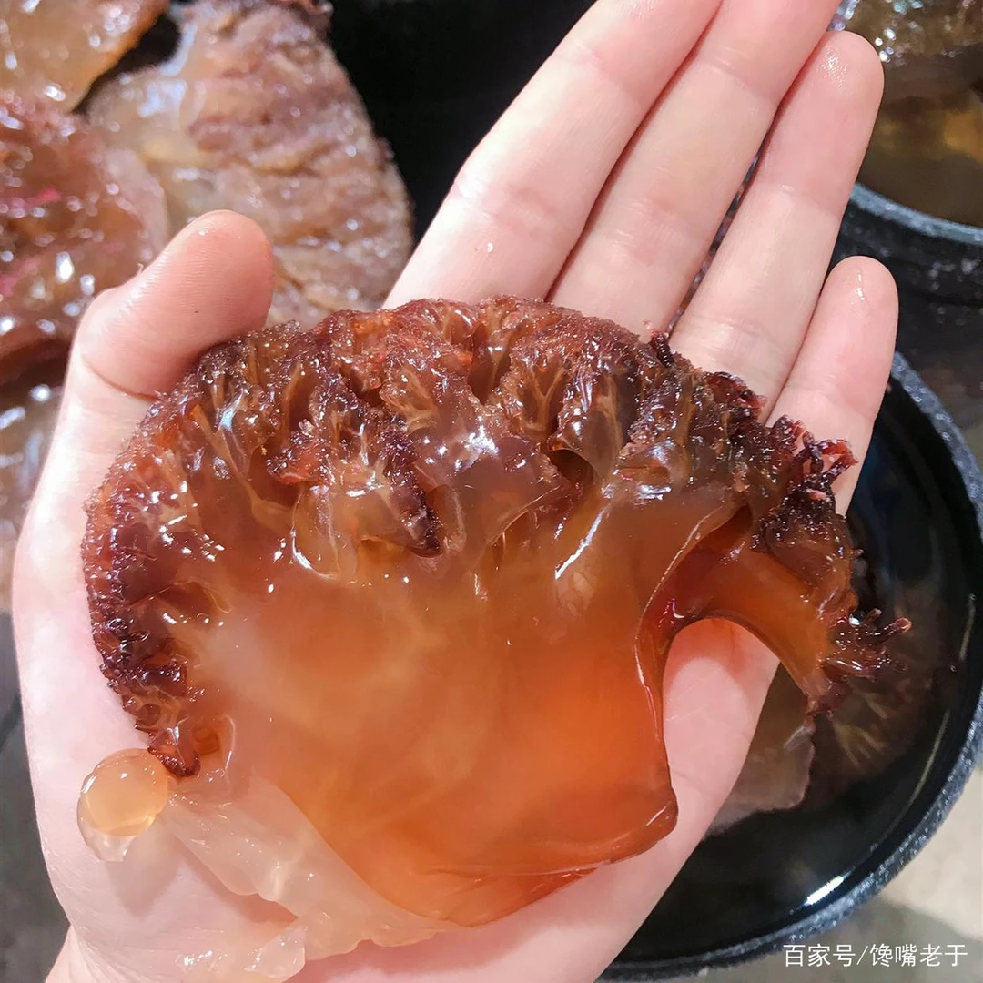 黄海本地，正宗野生海蜇皮，三矾三腌，鲜脆爽口，凉拌开胃，海鲜美食