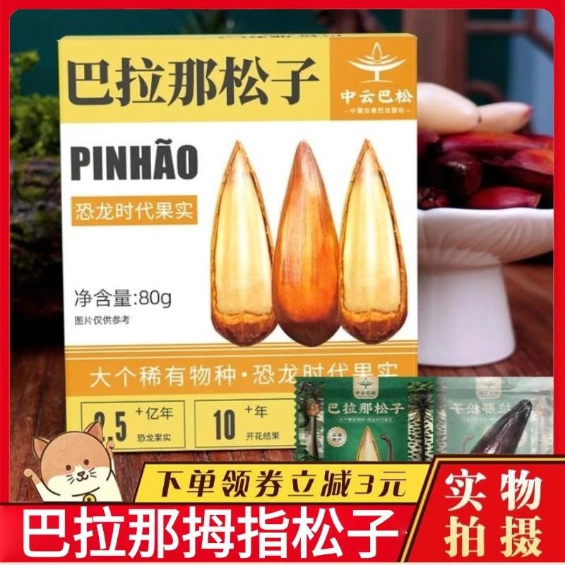 云南巴拉那松子打松球拇指大的松子开口礼盒装巴西松子巴松王松子