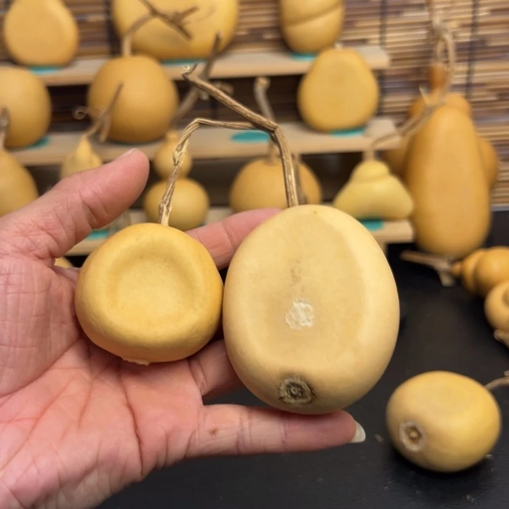 核*哦2333..66669966996