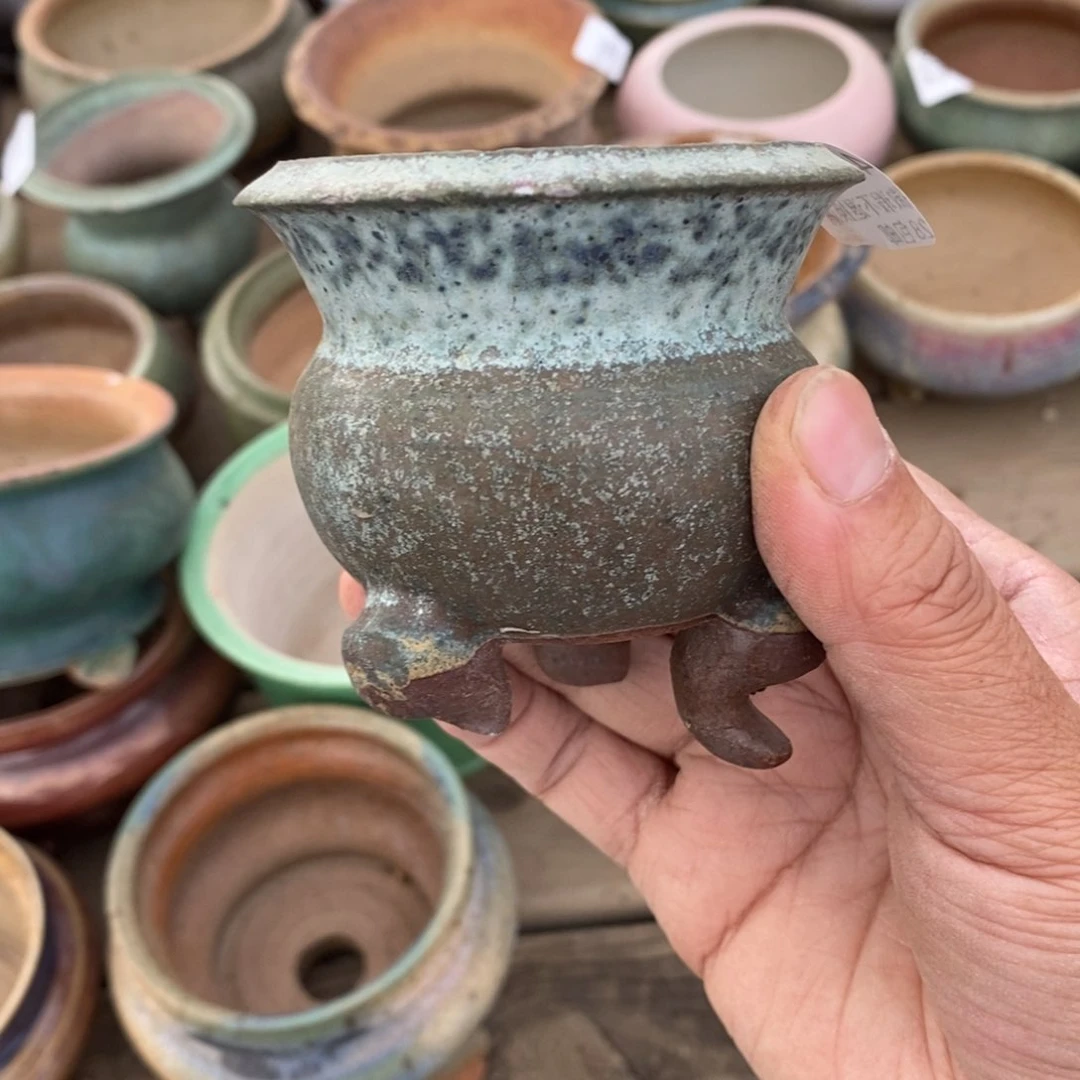 喜**洋59号多肉盆小可爱瑕疵