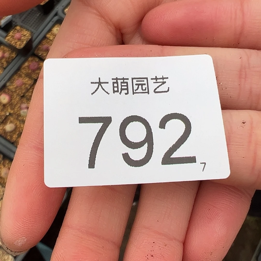 小****0000792 一物一拍脱土发