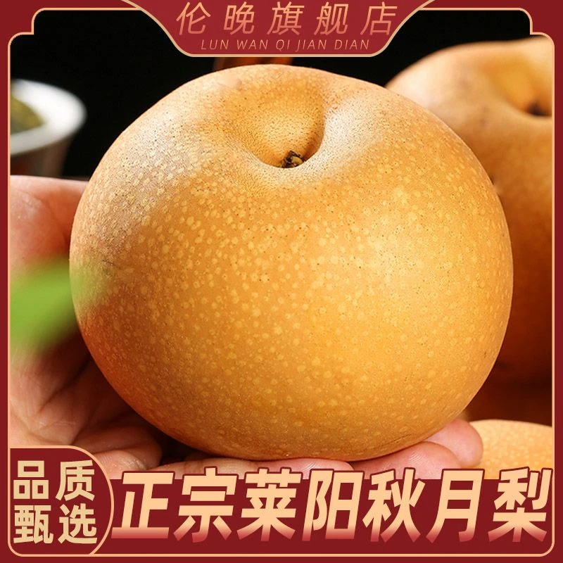正宗山东莱西秋月梨 净重4.5斤装/礼盒装D
