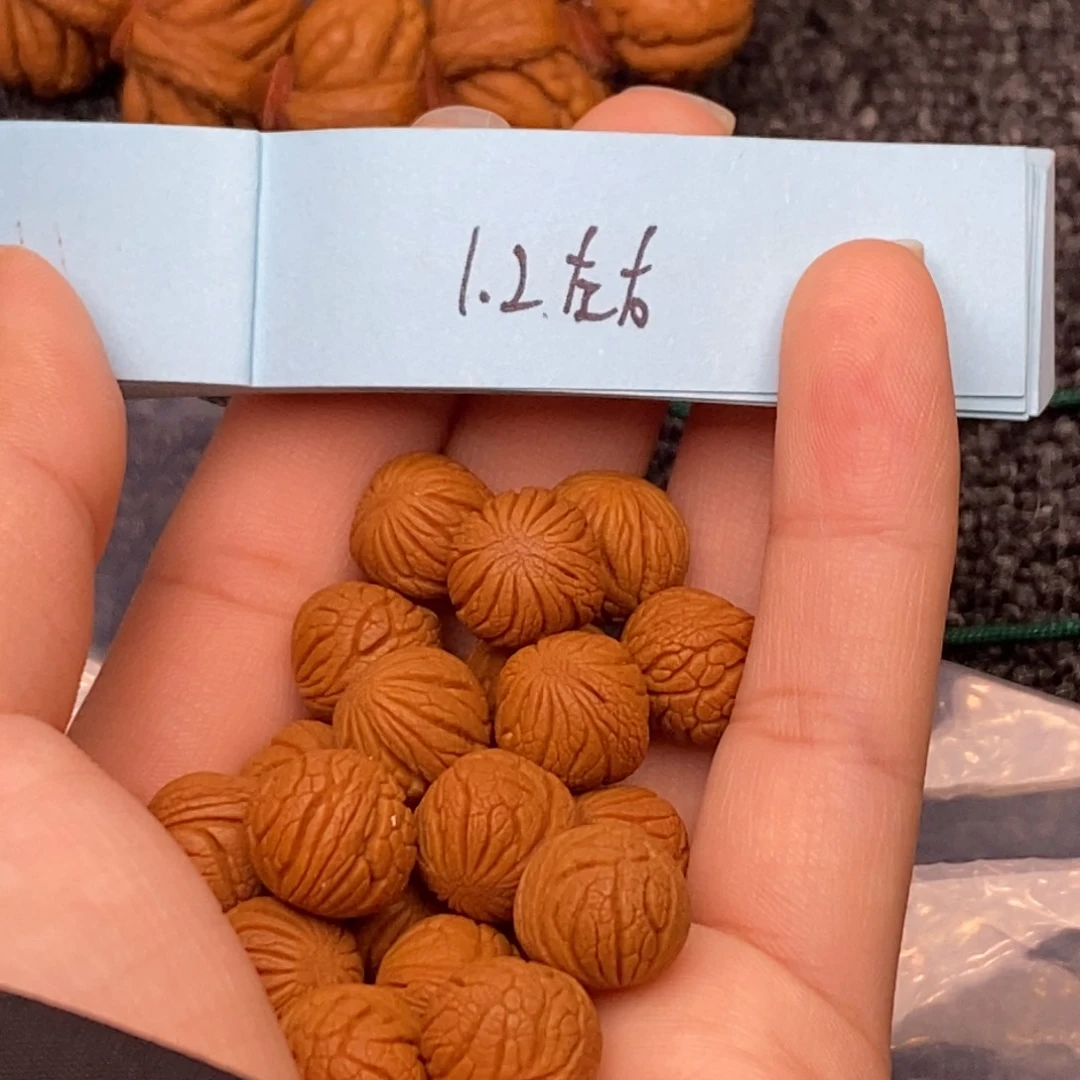 秦岭山脉龙纹桃核