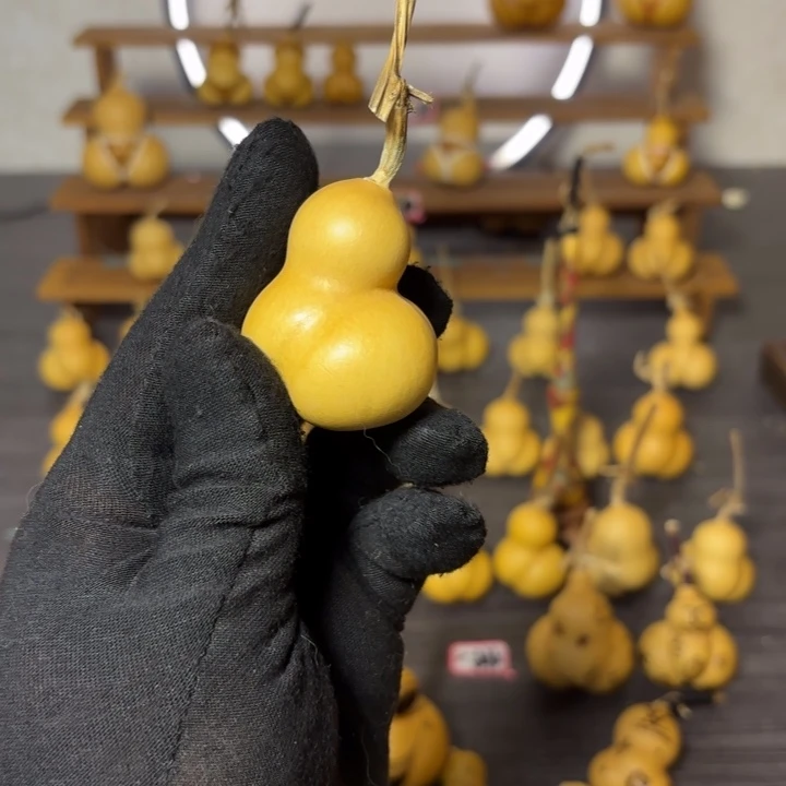 莫***衷葫芦葫芦葫芦葫芦