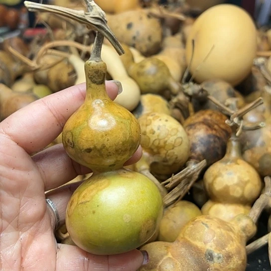 人**半葫芦葫芦葫芦葫芦葫芦