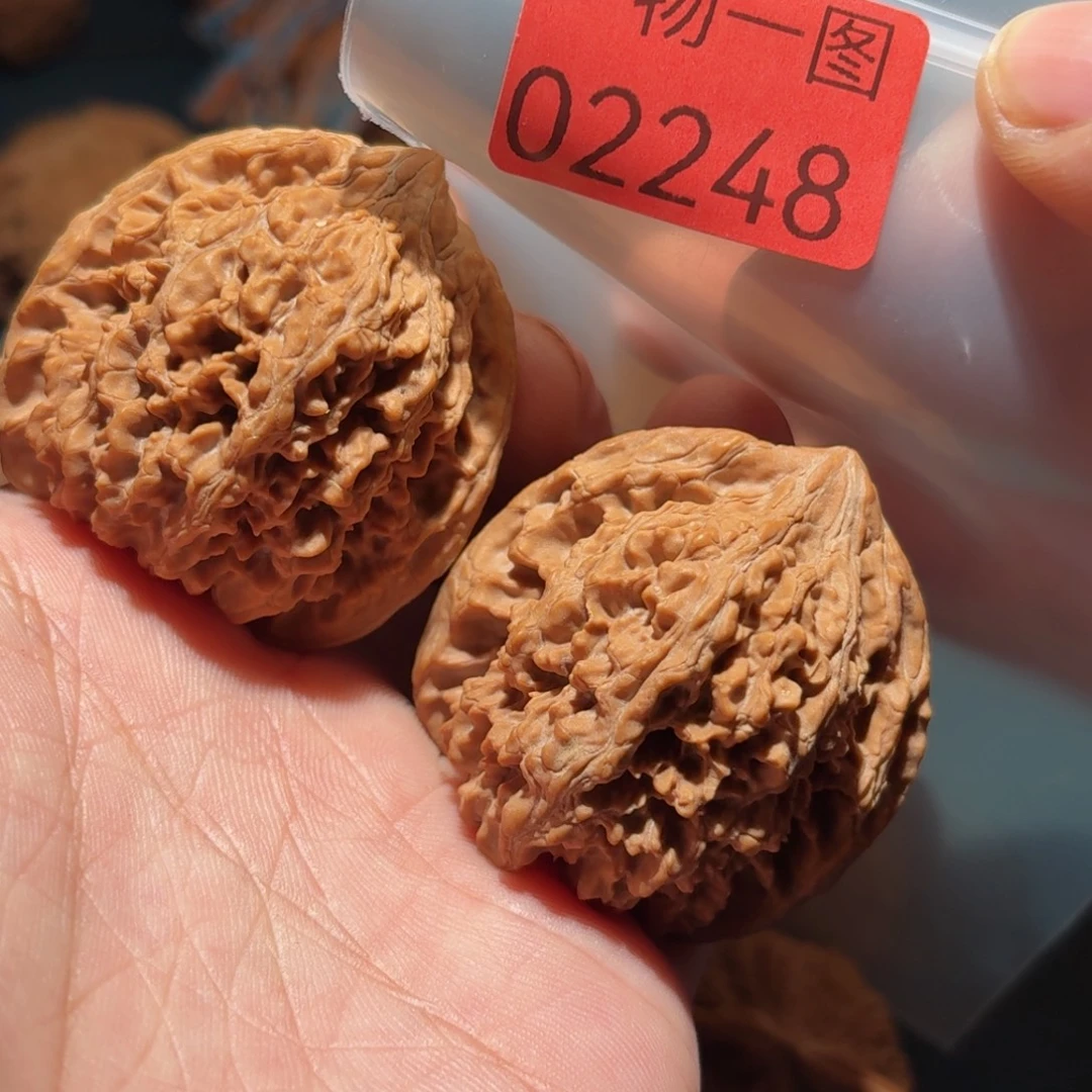 文玩核桃把件满天星