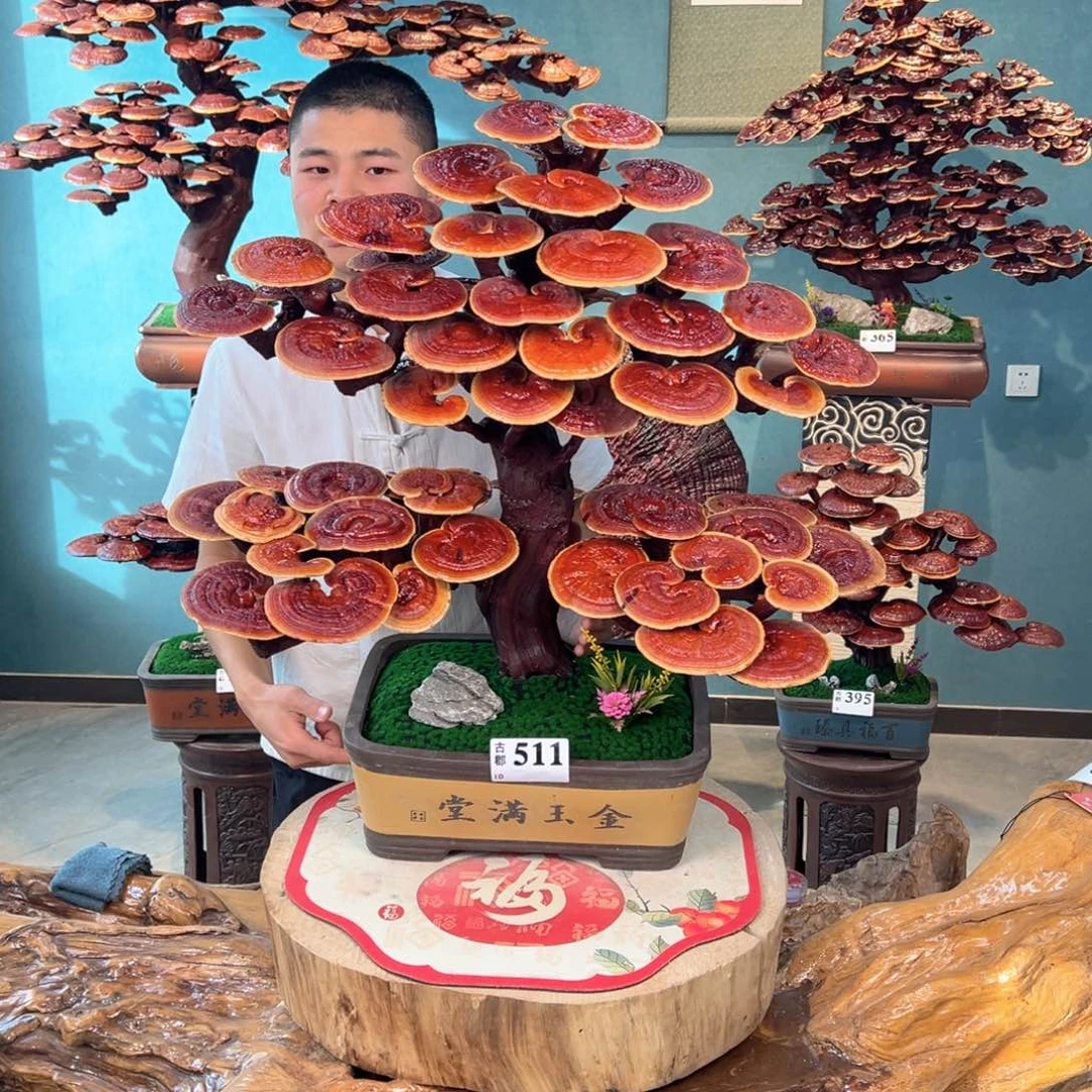 无花朵88888888888