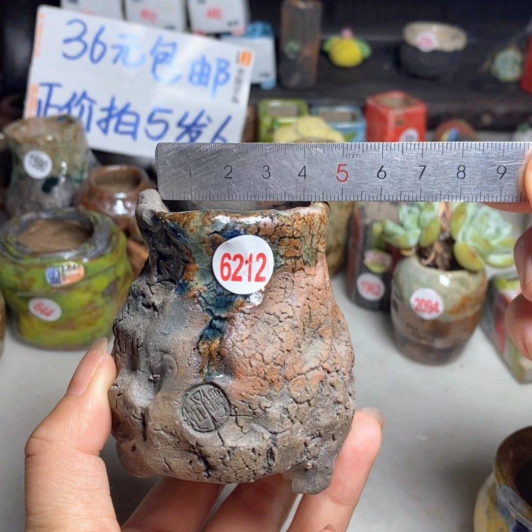 拍5送一个小礼物