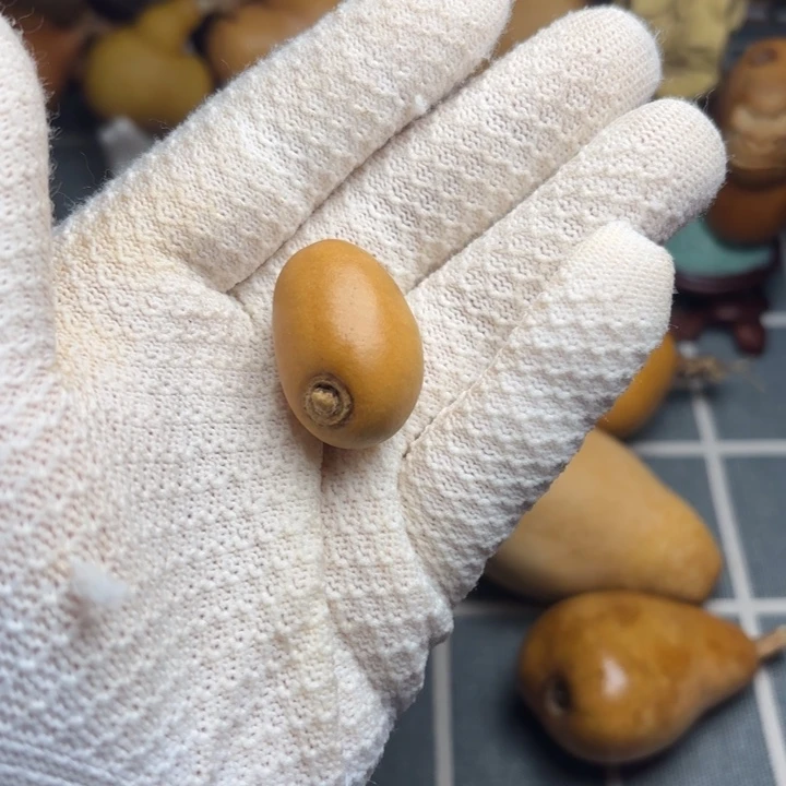 相***伴6666666666666666666