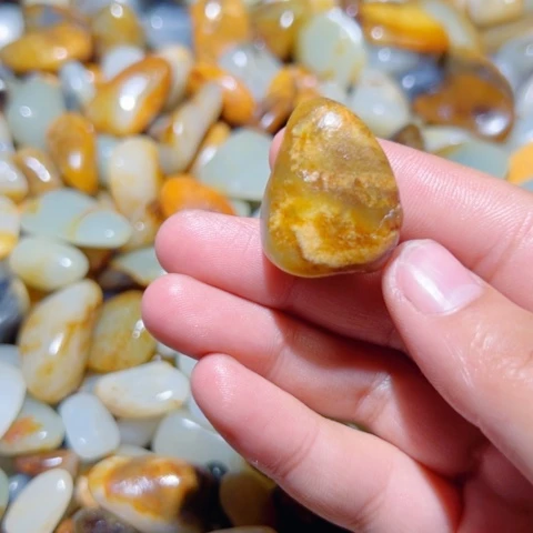 和田玉（子料）未镶嵌颈饰13.7克