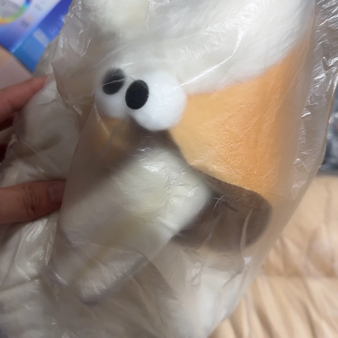 99新猫窝猫窝猫窝
