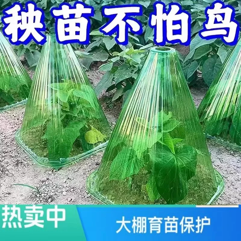 蔬菜植物罩瓜苗菜苗幼苗育苗秧苗大棚育苗保温防虫防鸟防霜保护罩
