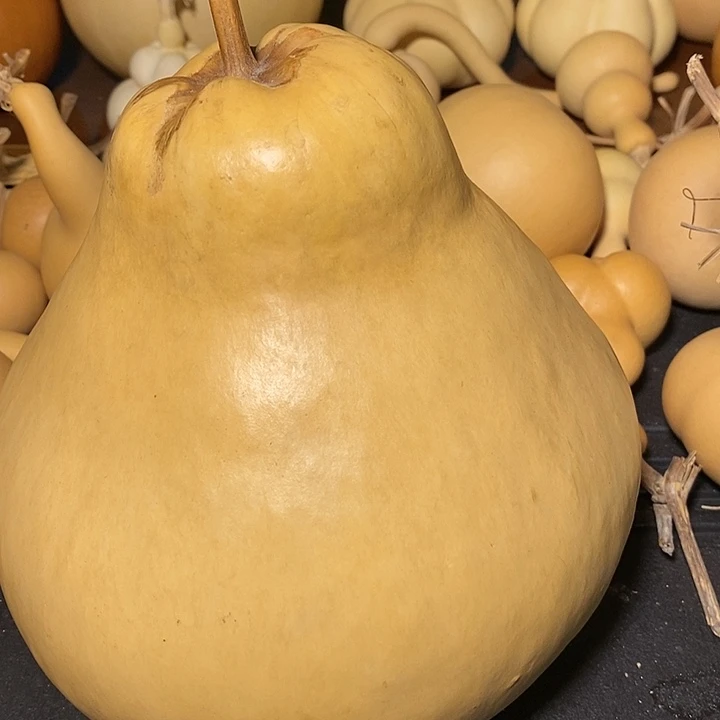 2****精品葫芦手把葫芦87