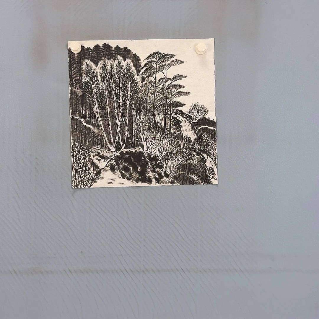 国画403 牡丹一如你初