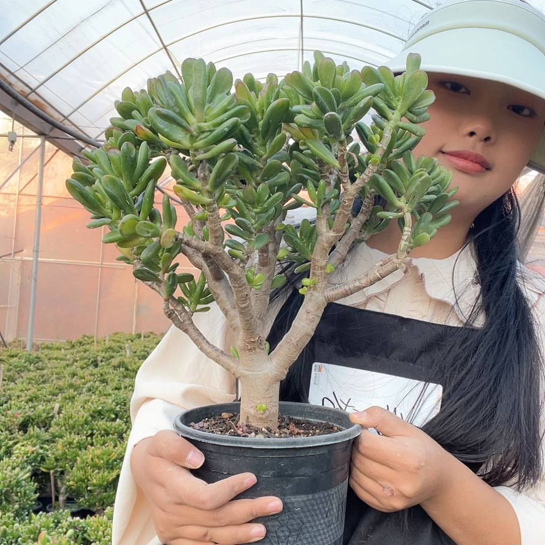 一物一拍一单包邮