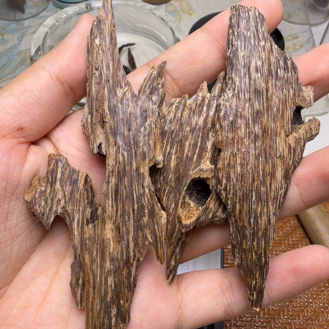 香榧木海南尖峰岭糖结虫漏12克