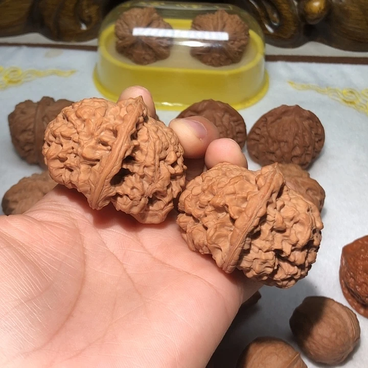 文玩核桃把件53夹板官帽