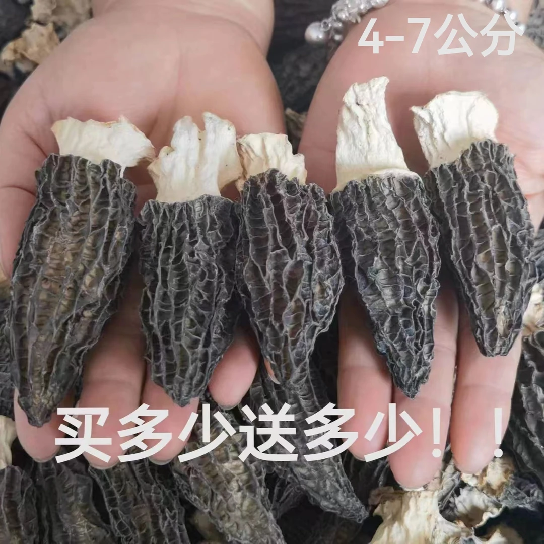 【250克福利】头茬肉厚羊肚菌无硫化煲汤营养云南特产