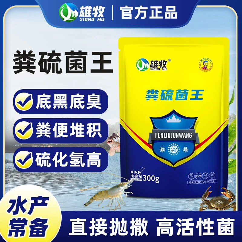 【雄牧】粪硫菌水产专用养殖粪硫净池塘鱼虾蟹养殖厂家直销多买多送