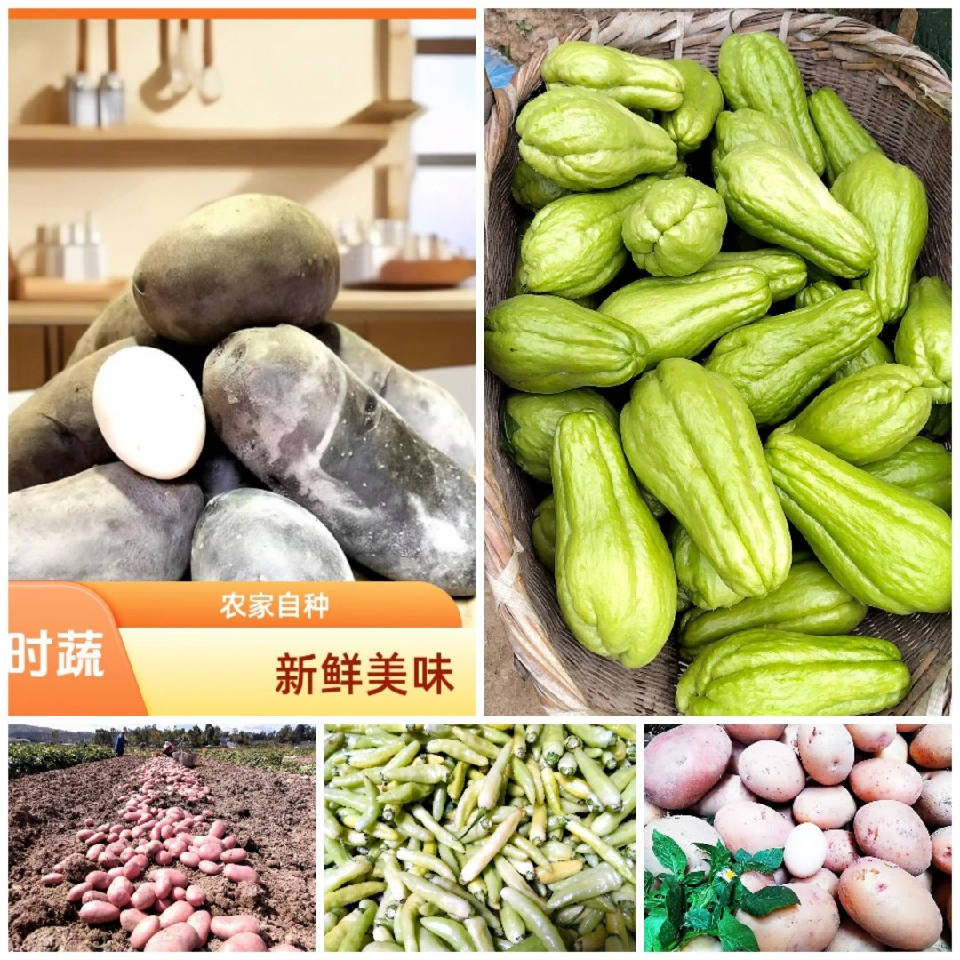 云南高原山区农家自种时蔬黑金刚土豆佛手瓜南瓜茄子豆角小米辣等