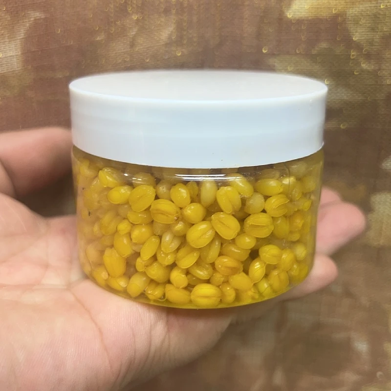 钓鱼小麦粒小杂鱼闹窝钓鲫鱼鲤鱼小麦粒