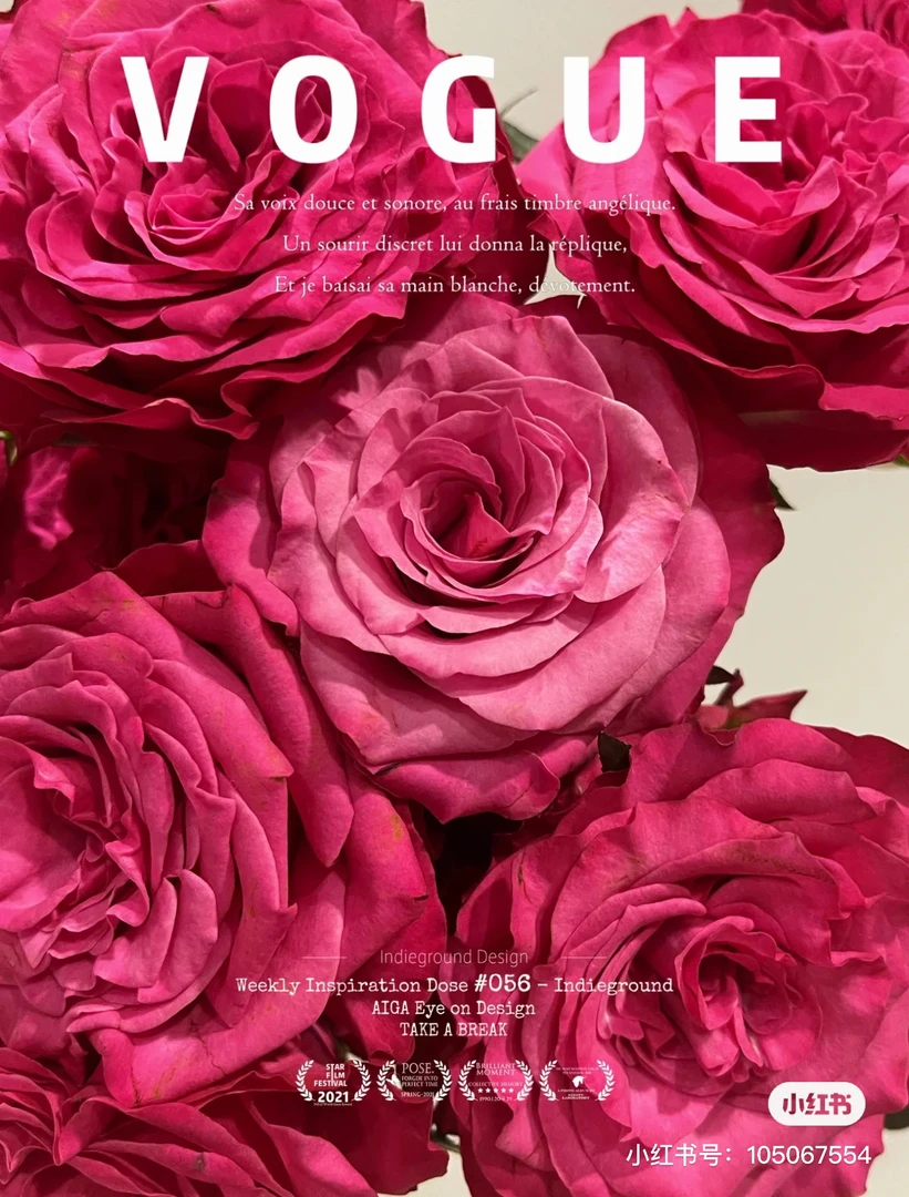 【绿光】蓝调 任三单顺丰空运包邮鲜切花10支装%20不售后