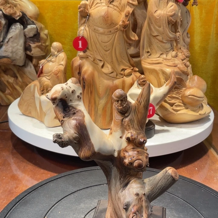 柏木（崖柏）崖柏   达摩