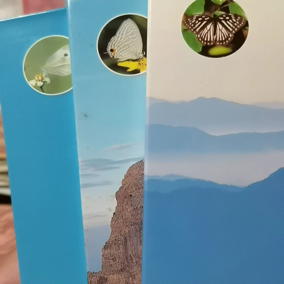 其他普通金属蝴蝶一套