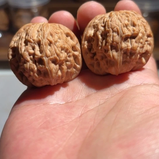 秋***阳正杨系列-正杨磨盘