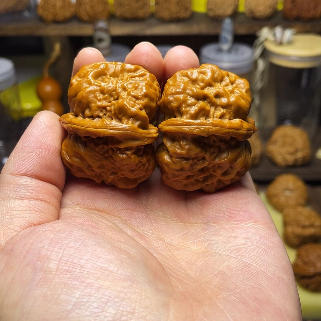 44尺蛤蟆头手把油皮