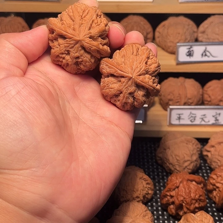 核桃43粗筋。