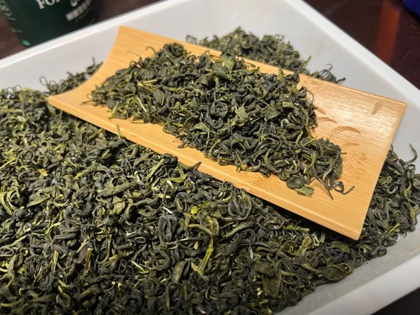 2025新茶散装油茶茶叶油茶专用广西桂林恭城新茶昭平产区批发直发