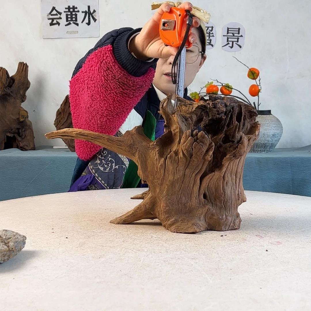 沉木造景寄居蟹造景