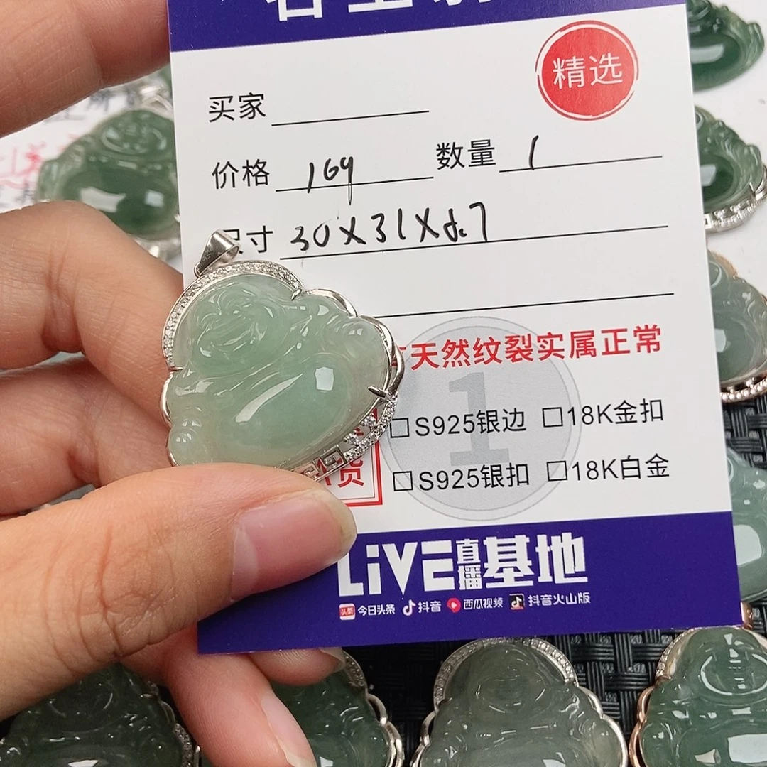翡翠银S925镶嵌颈饰