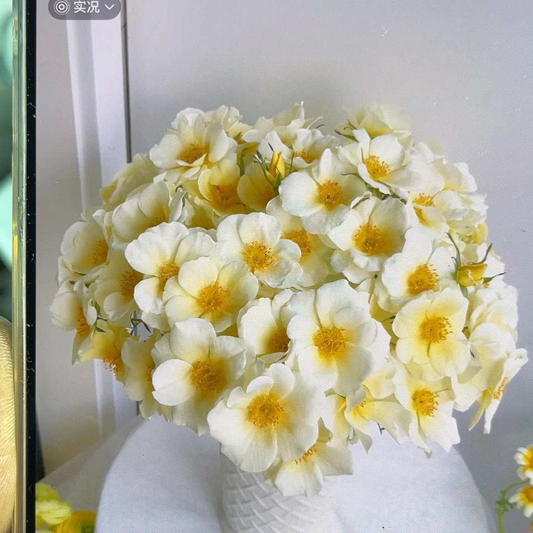 全部花苞青幕谷（报春）一扎