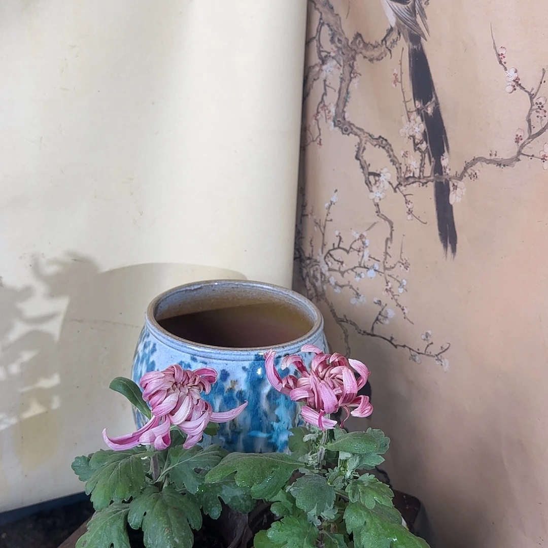 全部花朵N22222222