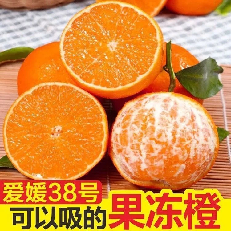 四川爱媛38号果冻橙新鲜现摘香甜多汁应季水果